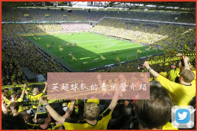 英超球队的青训营介绍