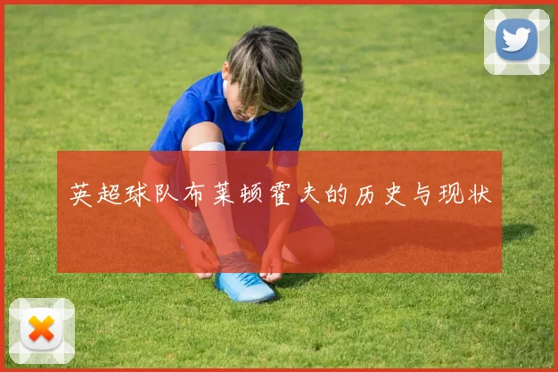 英超球队布莱顿霍夫的历史与现状